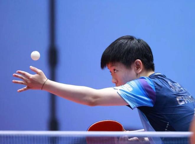 供了参考 供了参考